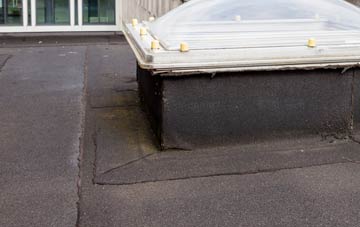 disadvantages of Enmore Field flat roofs