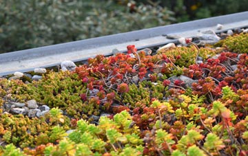 the cost of Enmore Field green roof installation