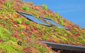 Enmore Field living roof systems