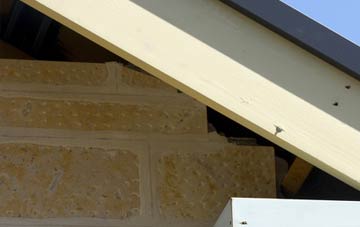 soffit repair Enmore Field